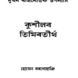 দুখন ৰাজনৈতিক উপন্যাস